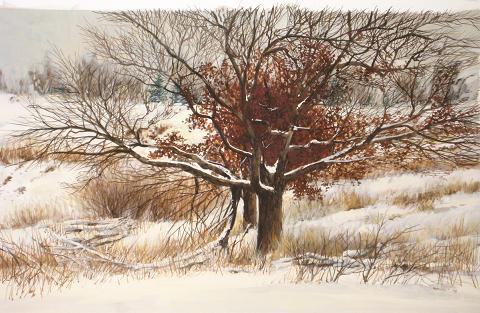 Berkey Winter Trees, copyright John C. Berkey Art Ltd.
